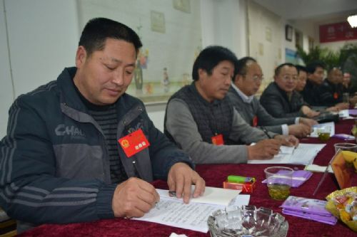 新马桥镇人大代表团积极做好人大议案、建议的