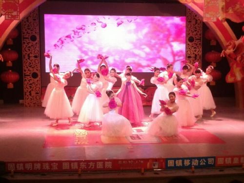 固镇县人民政府--固镇县示范幼儿园教师助力县