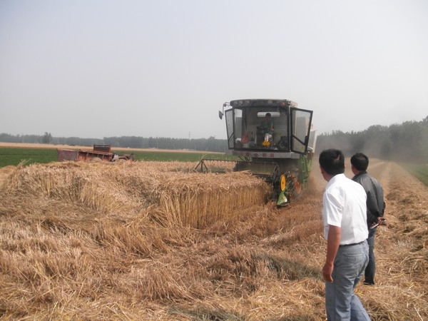 秸秆禁烧是哪个部门负责 20146511292127.jpg