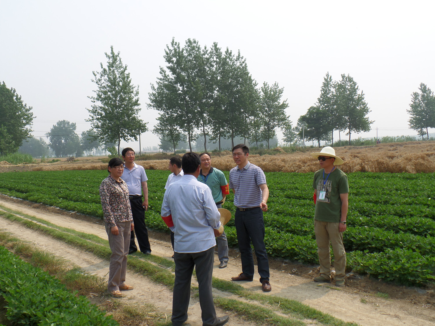 固镇县人民政府--杜国华、张凌到湖沟镇督查指