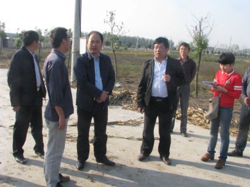 县委书记周学保到城关镇、仲兴乡调研指导秋收秋种和秸秆综合利用工作