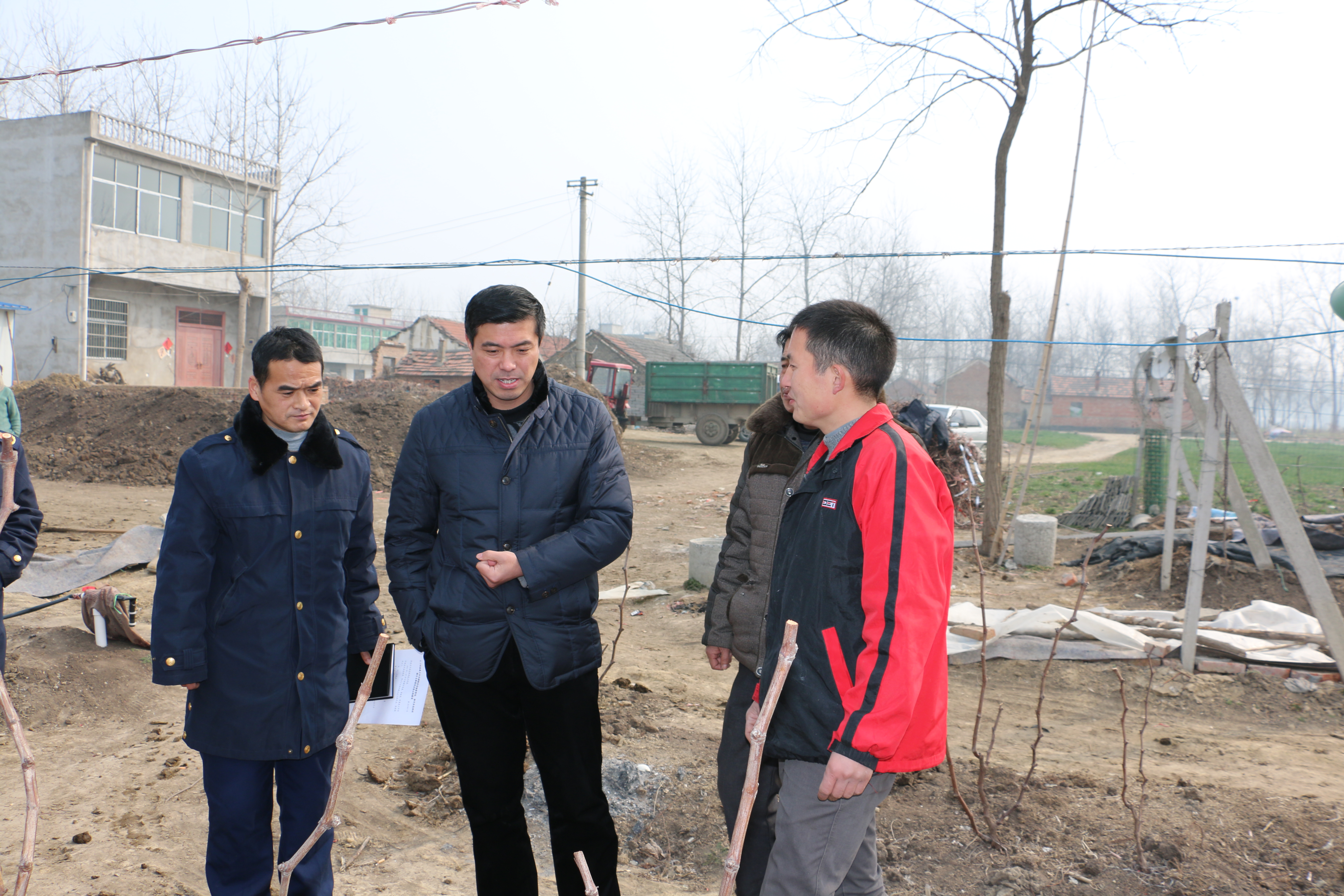 固镇县人民政府--三结三联三服务 问政问需问计