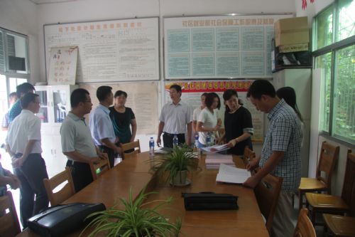 副秘书长王红等一行督查指导我县社区居委会换