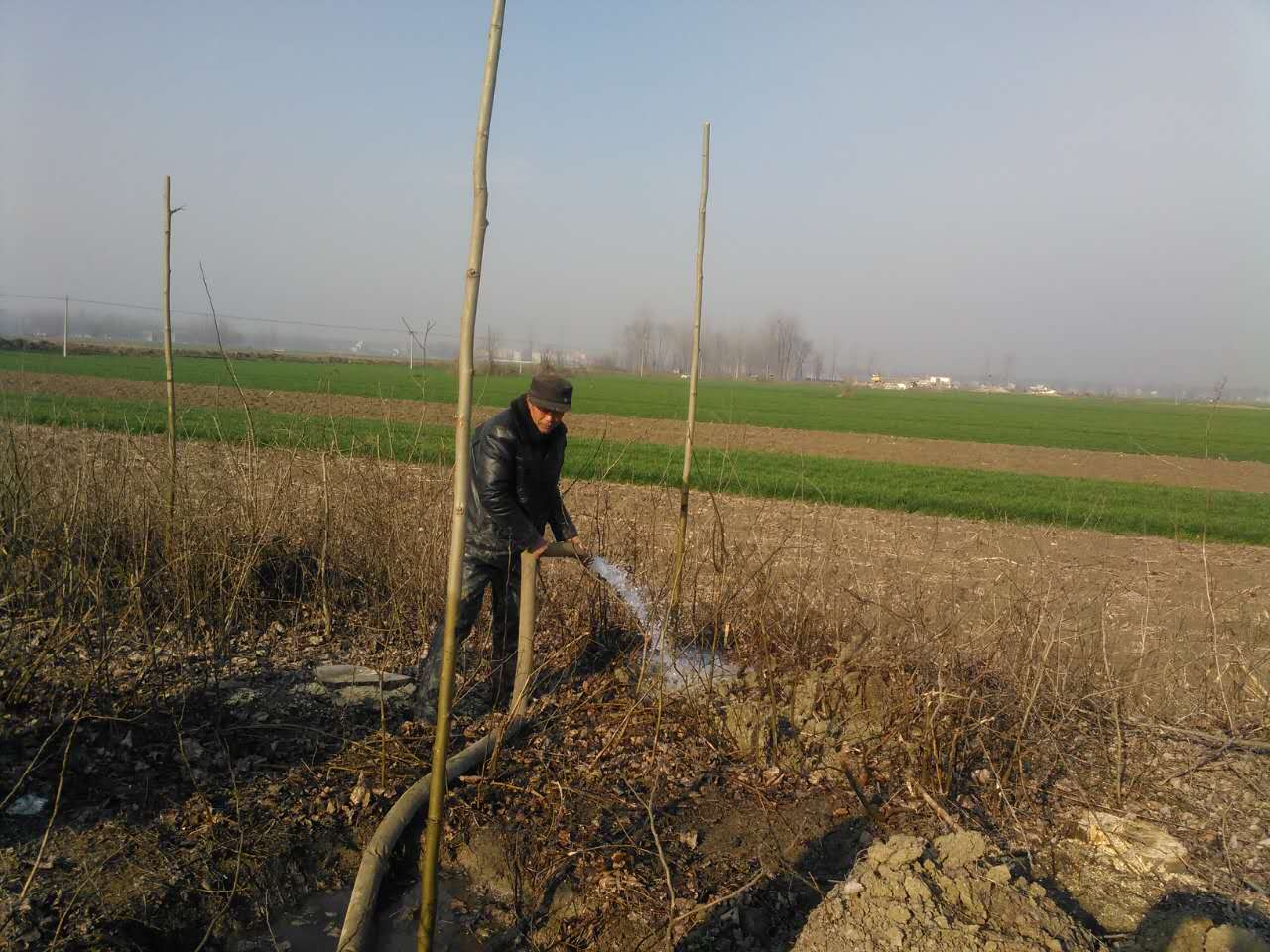 按照仲兴乡植树造林工作计划安排,并在乡主要领导的高度重视和乡村干部的共同努力下,我乡植树造林工作已经接近尾声。截至目前我乡分别在胜利沟两侧、孟庙美丽乡村、后楼美丽乡村、圩子沟等地共植树造林450余亩,为我乡提前完成植树造林任务打下坚实基础。