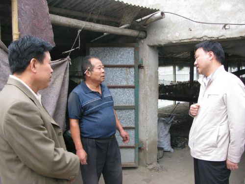 固镇县人民政府——县委常委,政法委书记张涛到王庄镇开展"五级书记