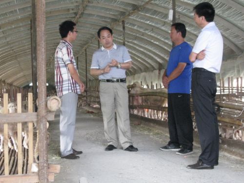 县委书记周学保到仲兴乡慰问青年创业者