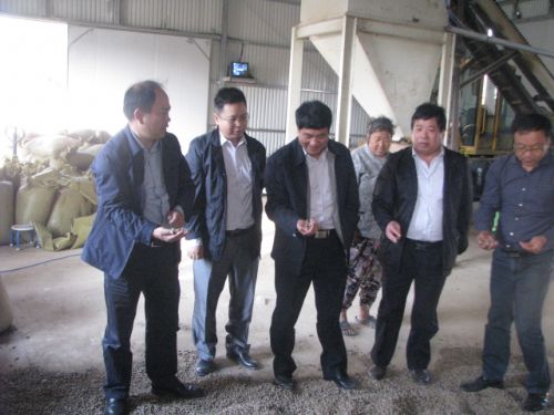 县委书记周学保到城关镇、仲兴乡调研指导秋收秋种和秸秆综合利用工作