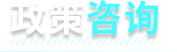 政策咨询