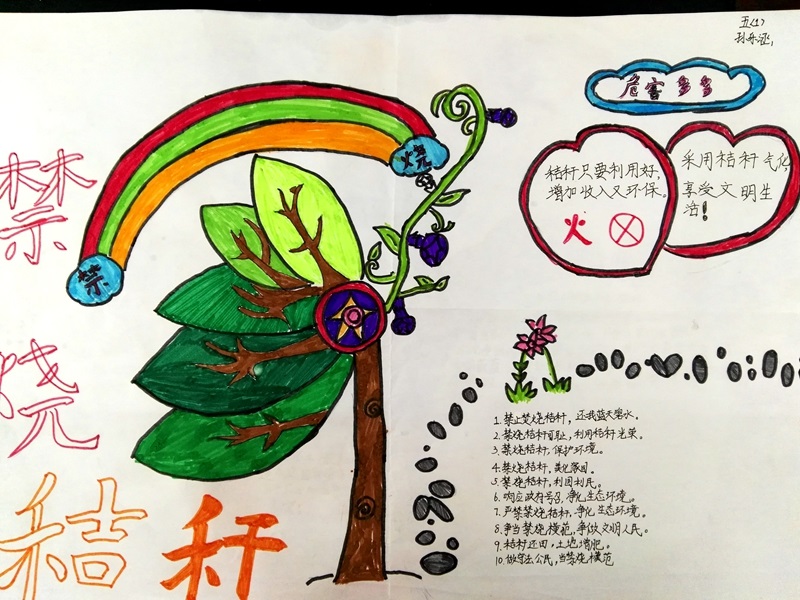 各班纷纷组织学生用手抄报的方式,让学生们充分了解露天