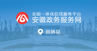 安徽政务服务网