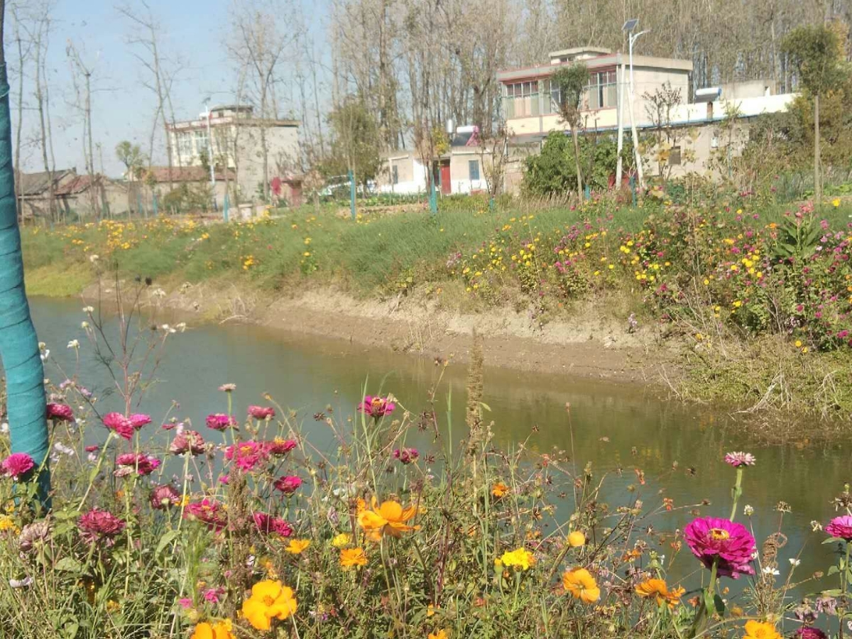 六旬“土专家”40余载甘当黄土塬守护人