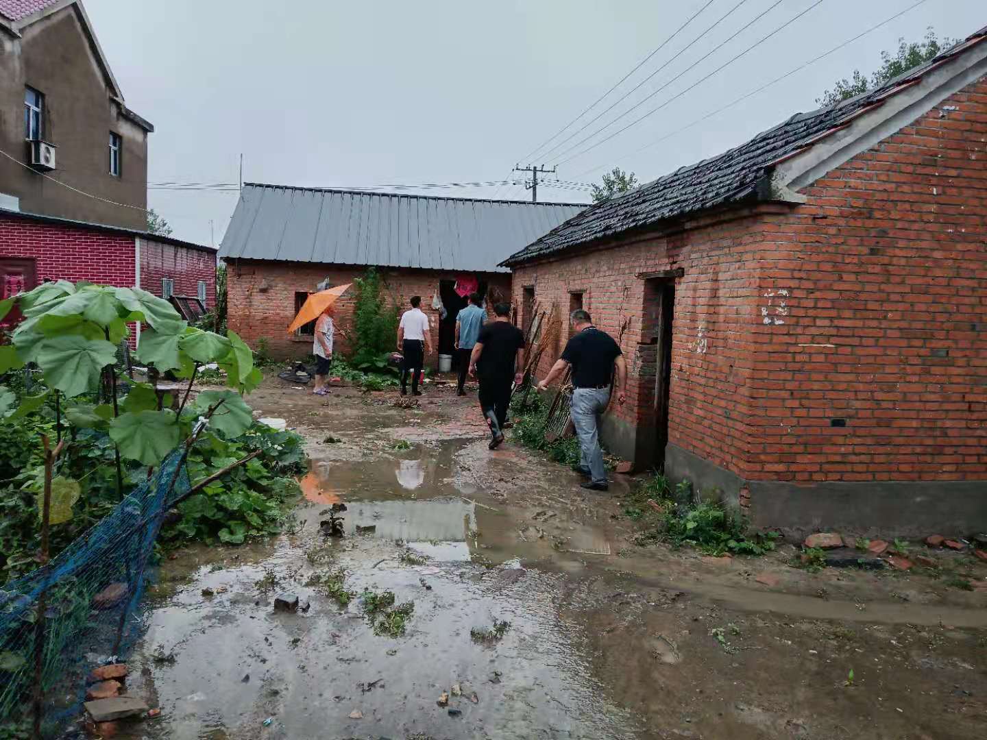 濠城镇召开2021年度防汛业务知识培训会_固镇县人民政府