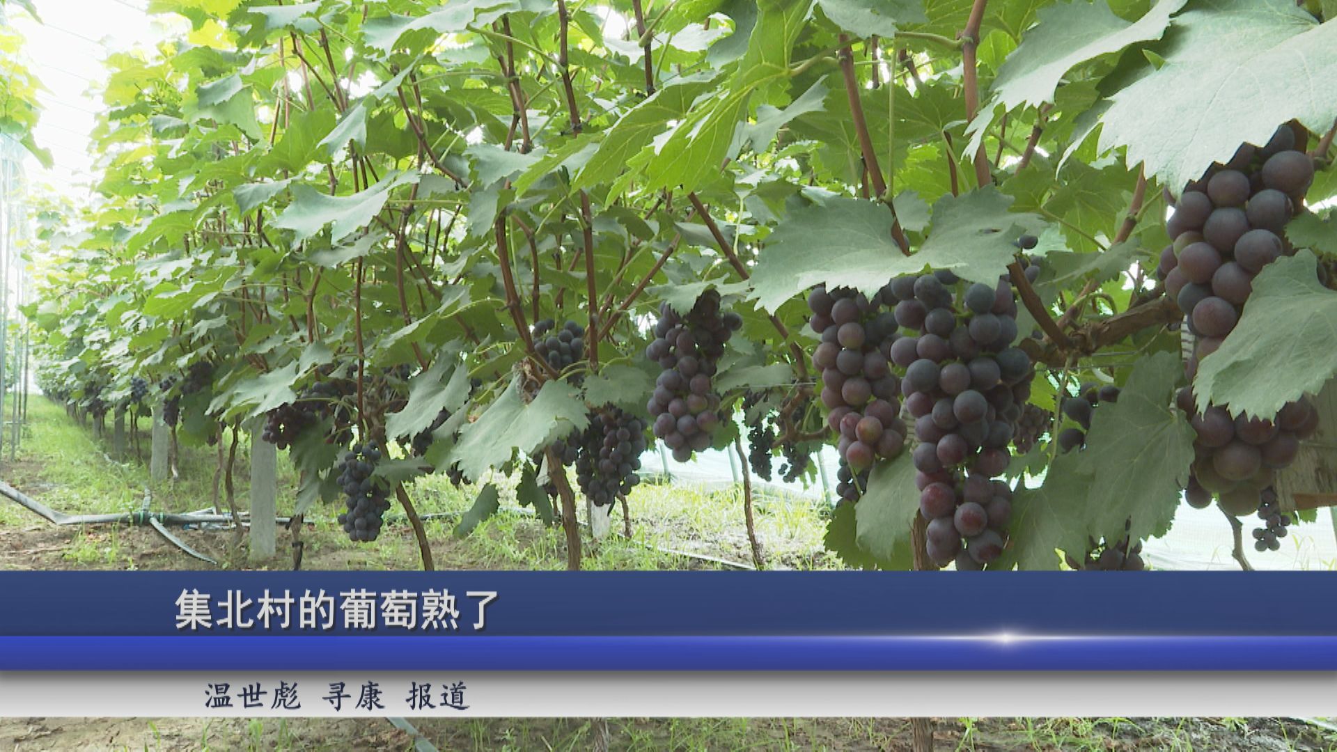 2025年07月14日新闻
