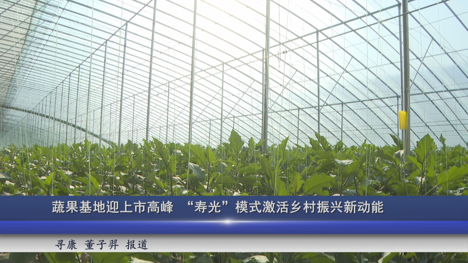 2025年10月24日新闻