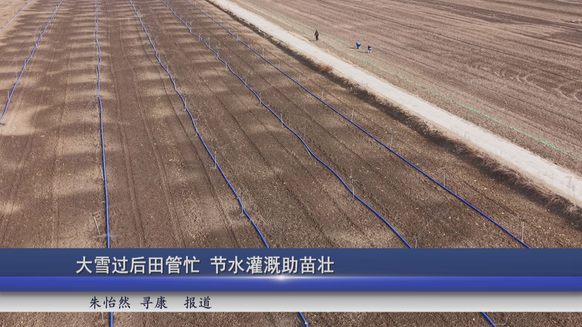 2025年12月09日新闻