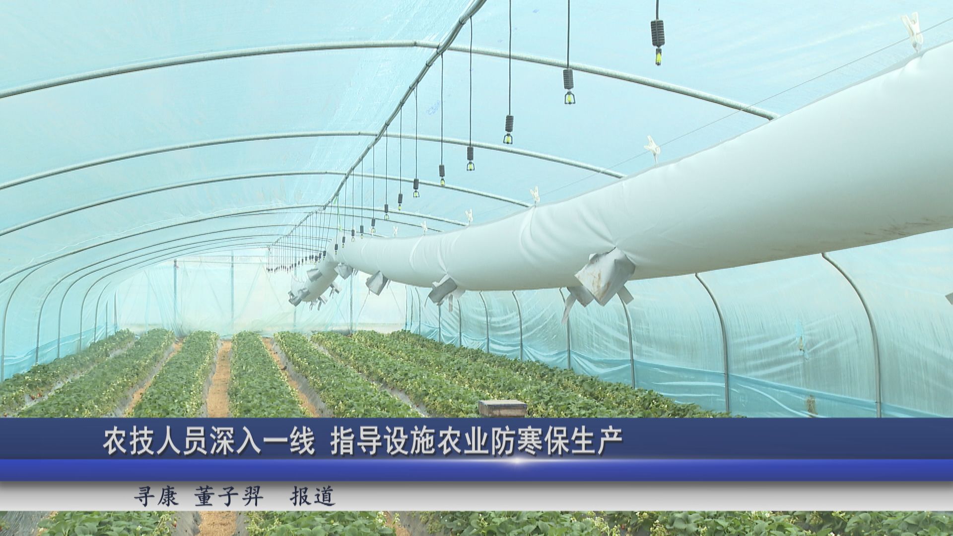 2026年01月19日新闻