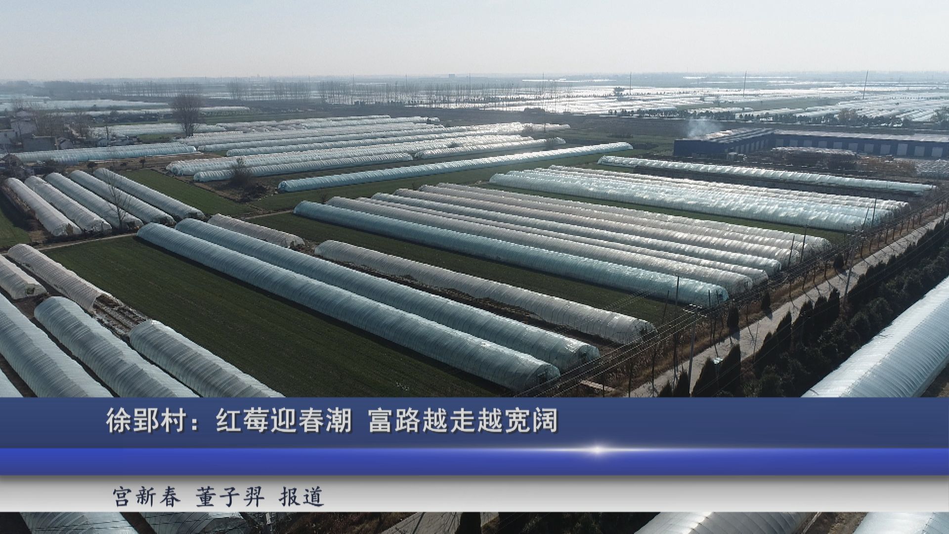 2026年02月12日新闻