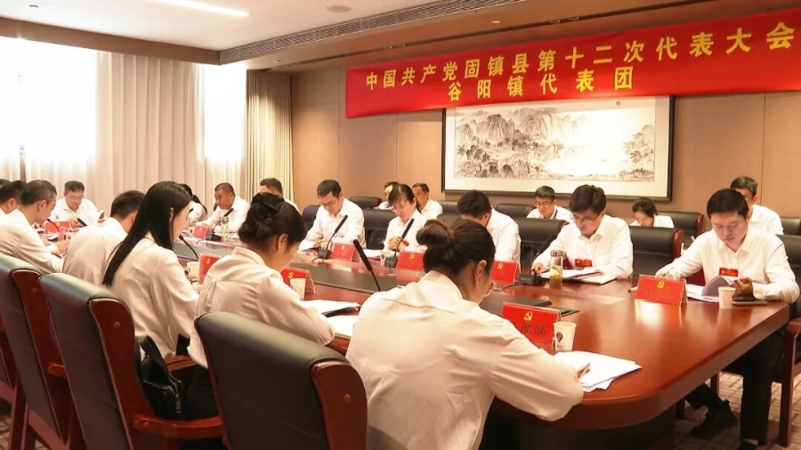 出席县第十二次党代会代表分团讨论县委、县纪委工作报告