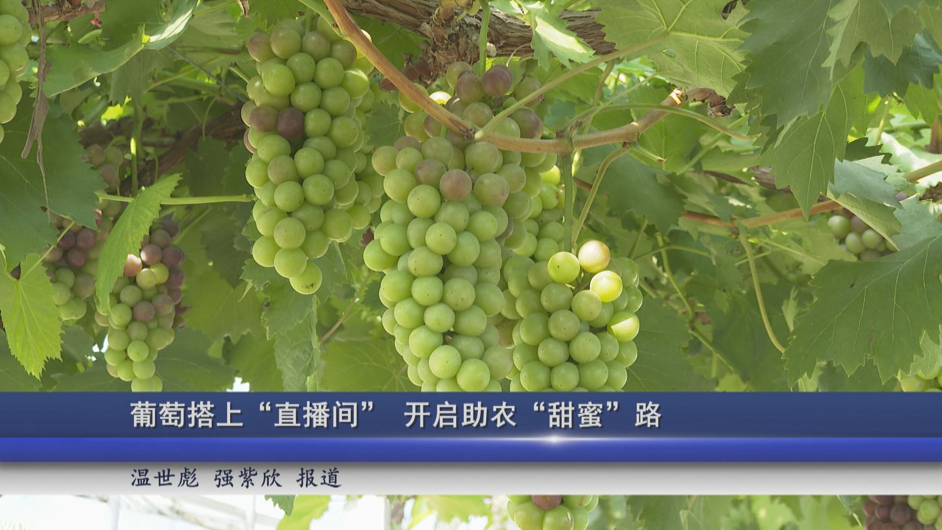 2026年07月27日新闻